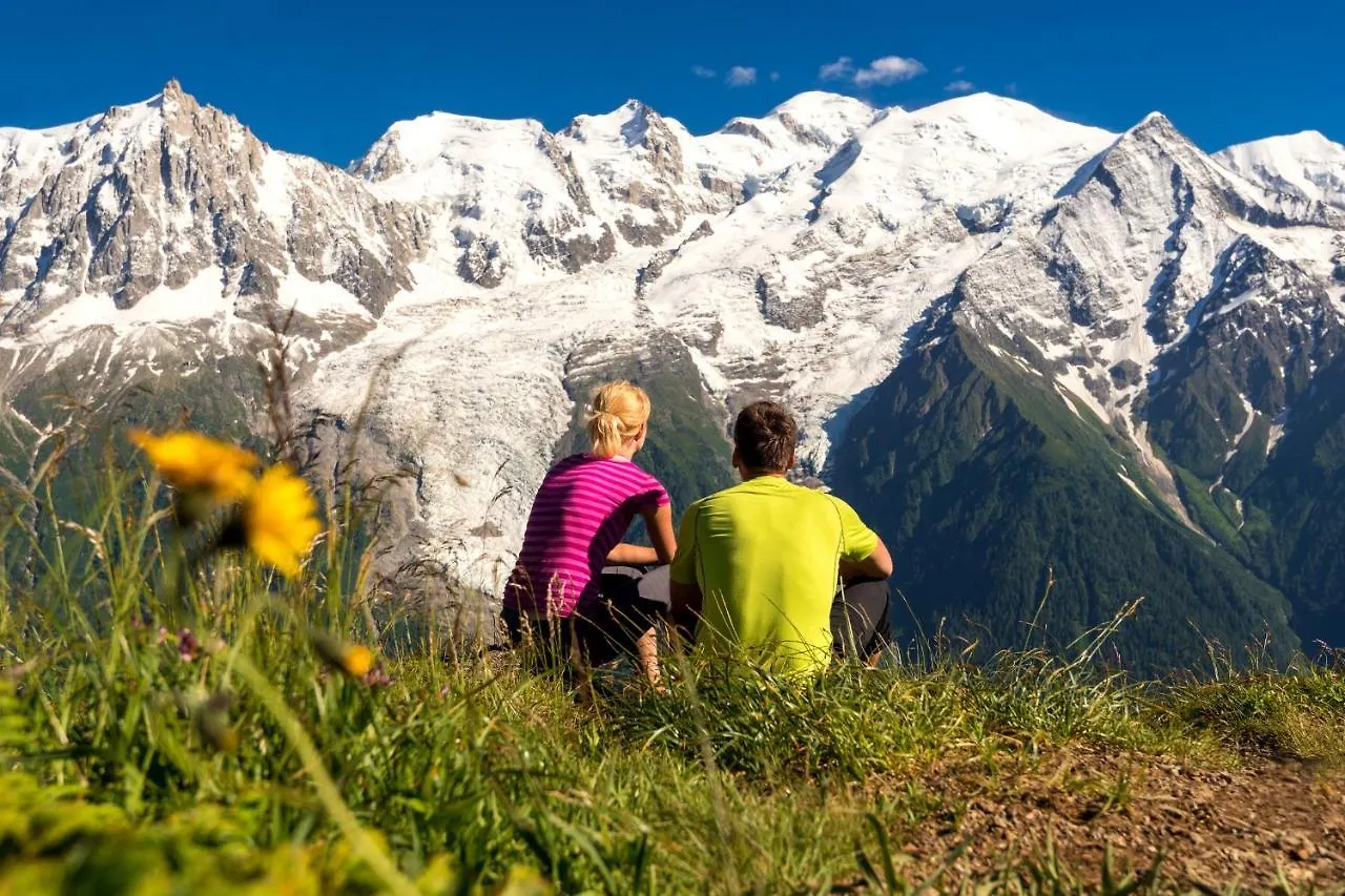 Appartement Les Cimes De Lognan Chamonix Apartment