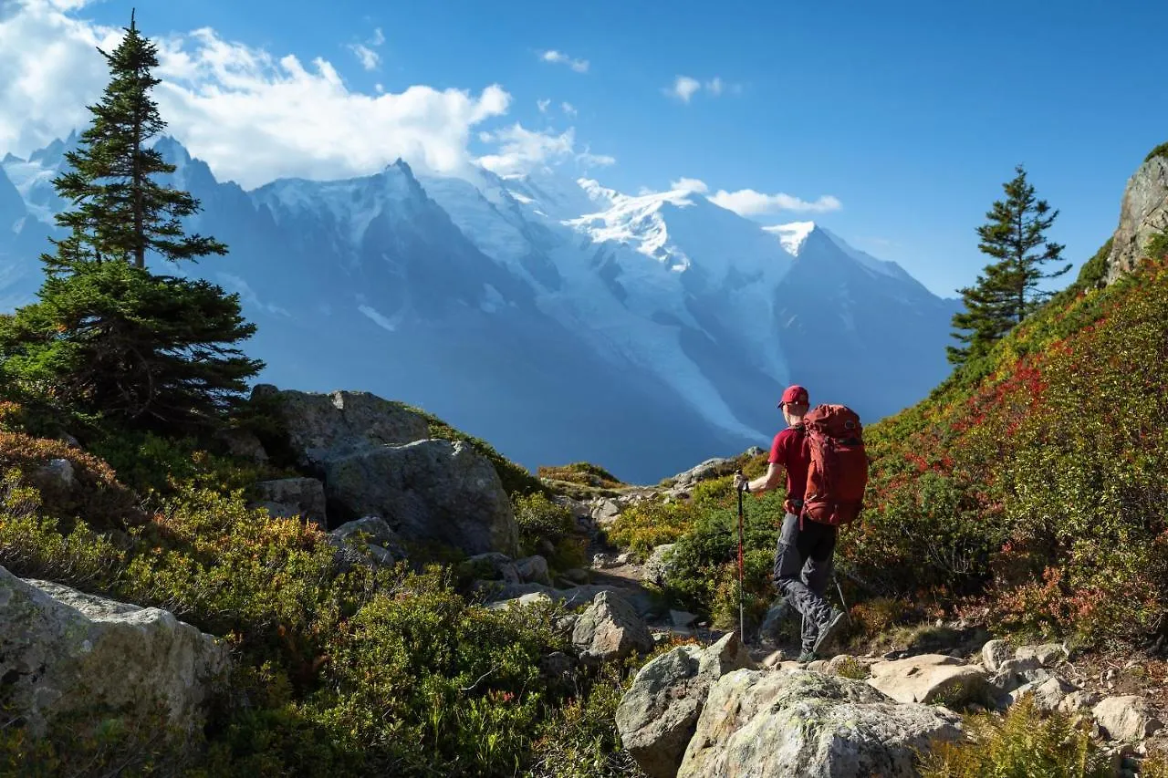 Appartement Les Cimes De Lognan Chamonix France